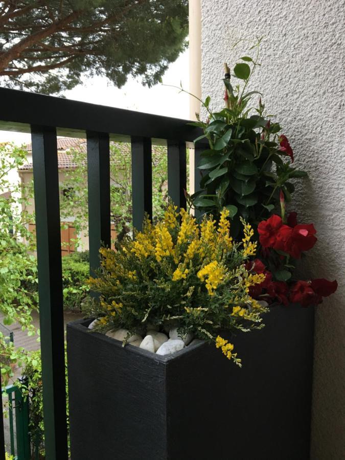 Cosy Lagune 圣西普里安 外观 照片