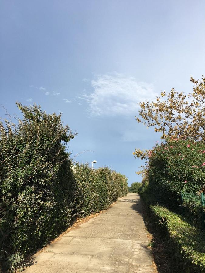 Cosy Lagune 圣西普里安 外观 照片