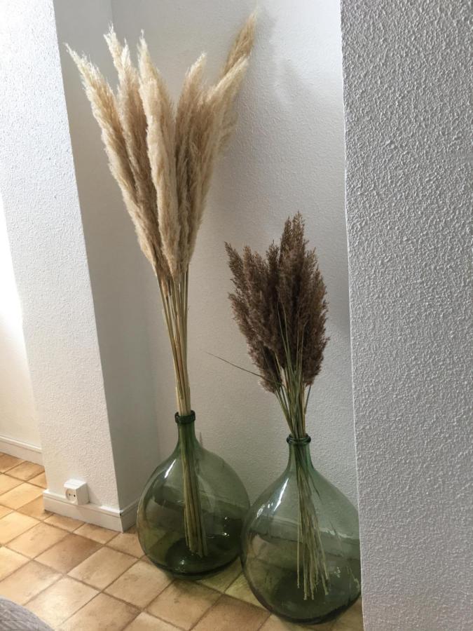 Cosy Lagune 圣西普里安 外观 照片