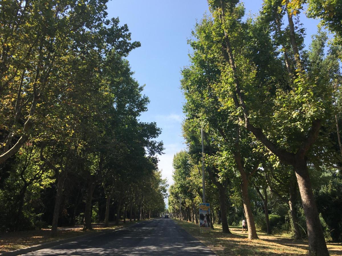 Cosy Lagune 圣西普里安 外观 照片
